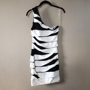 Emerald Sundae Black and White Mini Dress